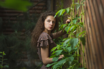 A beautiful, slender girl in a summer sundress poses against a wooden lattice fence with ivy