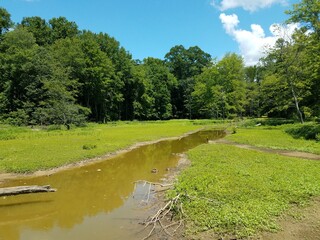 Fototapeta na wymiar small creek and mud in a wetland area