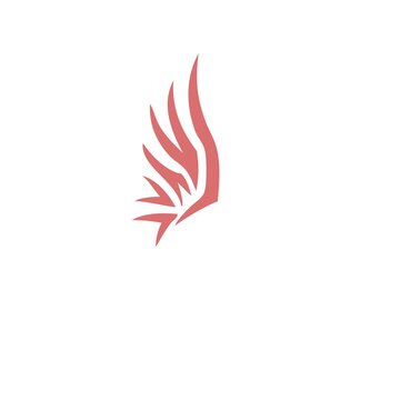 Abstract Birds Wing fly logo, symbol and icon. Isolated on a white background.