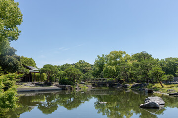 Fototapeta premium 池のある日本庭園
