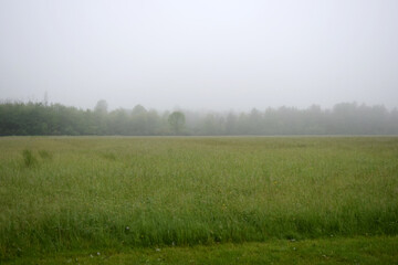 Obraz na płótnie Canvas Misty Morning Fog Settling Over Farmland Fields in Rural Heartland.
