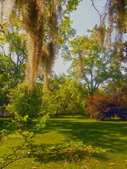Naklejka premium Savannah Georgia, Forsyth Park
