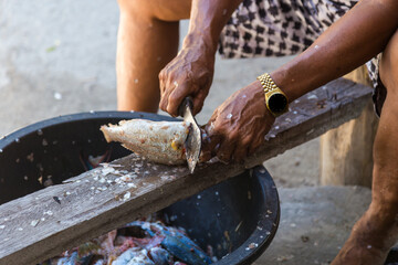 Local old man hand cutting fish in their own way