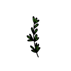 thyme doodle icon, vector illustration