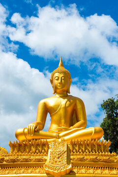 beautiful golden buddha with blue sky in Thailand.For the background picture postcards advertising detrimental impacts on Buddhism.