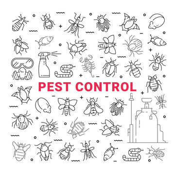 Pest Control Icon Set In Linear Style.