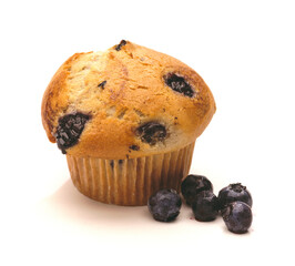 Blueberry Muffin