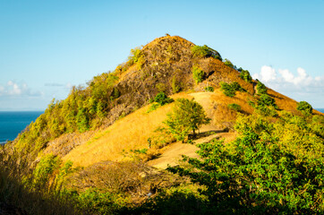 Obraz premium landscape in the mountains