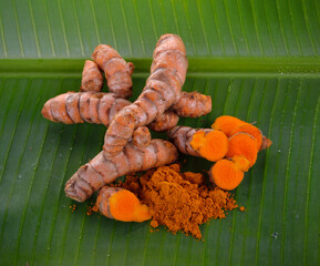 Turmeric roots and powder on  background