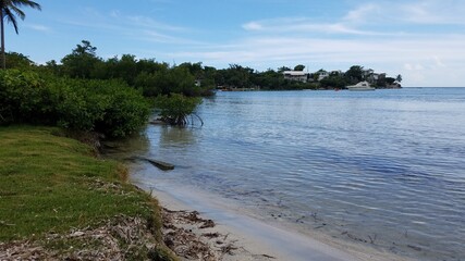 mangrove trees and boat in water and beach in Guanica, Puerto Rico