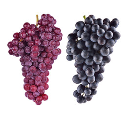 Grape isolated on white background.