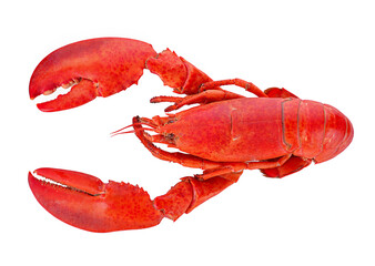 Lobster shrimp Food isolated on white