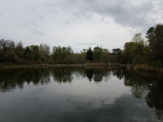 Fototapeta na wymiar calm reflective pond or lake with tree and sky