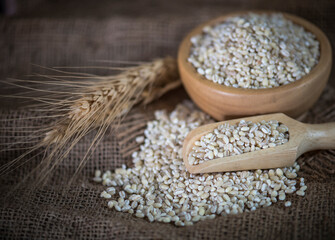 White sorghum isolated on background.