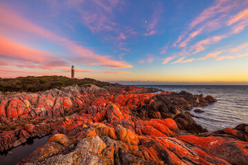 Beautiful spring sunrise over Eddystone Point Lighthouse.Mount William National Park. Part of Bay of Fires Conservation Area.North Eastern Tasmania,Australia. - obrazy, fototapety, plakaty
