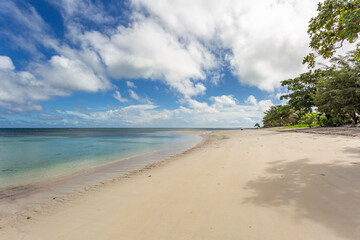 Fototapeta na wymiar Deserted tropical beach with coconut trees