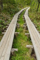Fototapeta na wymiar wooden path of hiking trail in Hotaka mountain range, Kamikochi national park, Kamikochi, Japan