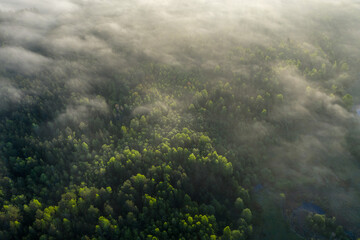 Background aerial view. Summer. Misty sunset above green forest.