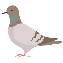 シンプルな鳩のイラスト