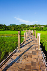 Fototapeta na wymiar The landscape of a bamboo bridge in fields and mountains background