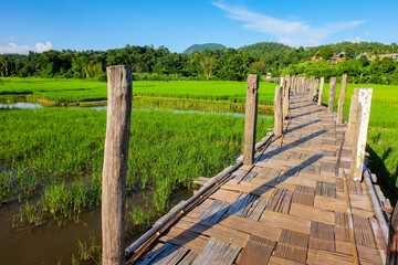 The landscape of a bamboo bridge in fields and mountains background