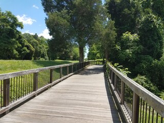 Fototapeta na wymiar wood bridge bike path and trees