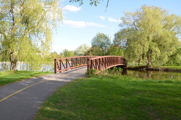 willow trees and river and bridge and path