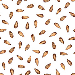 Hand drawn sketch style almond seamless pattern. Color illustration. 