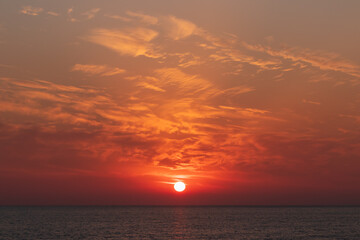 海岸からの景色