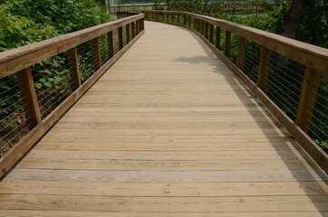 wooden boardwalk or trail with railing and green plants