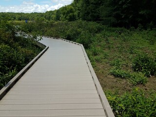 Fototapeta na wymiar boardwalk or path in a swamp or wetland area