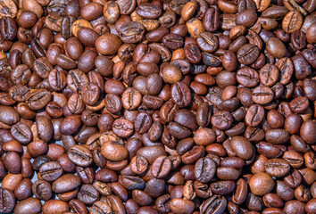 Roasted large grains of Arabica coffee