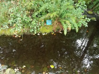 blue no coins necessary to operate stream sign near stream