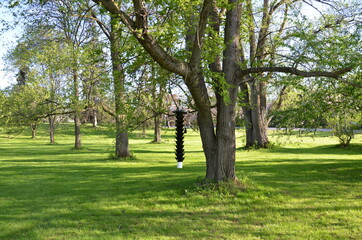 Fototapeta na wymiar black bird feeder hanging from tree branch