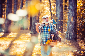 Naklejka na ściany i meble Sunny weather. Portrait of aged man with beard. Mature man with beard in hat. Outdoor portrait. Woodman in forest. Human and nature. Funny bearded man. Natural background. Rest in forest.
