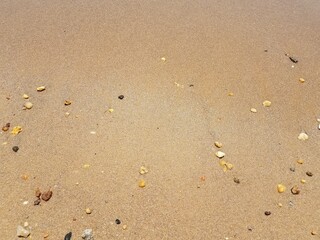 Fototapeta na wymiar sand with waves and rocks