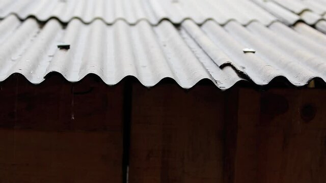 Chuva no telhado do barraco