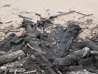 wood and debris on beach with sand