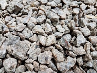 grey pebbles or stones with black ant