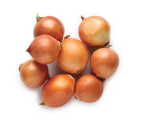 Fresh raw onion on white background