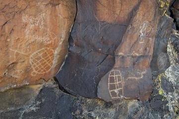 Different degrees of patination on rock surface and petroglyphs, Mojave National Preserve,...