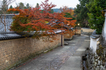 紅葉と土の壁と石畳の道