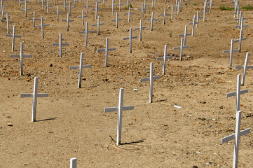 1918 Influenza Pandemic. Simple Unmarked Crosses commemorate those who died in San Lorenzo, California in the Pandemic of 1918 and 1919. - obrazy, fototapety, plakaty