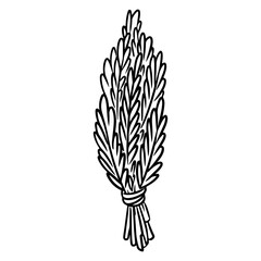 Sage smudge stick hand-drawn doodle isolated icon. Vector stock plant leaves image. Rosemary or white sage herb bundle