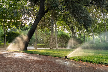 Grass watering in a park in summer day in the fresh morning. Automatic sprinkler irrigation system working in a green park, watering lawn, flowers and trees