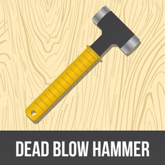 dead blow hammer