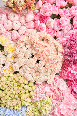 Floral carpet or Wallpaper. Background of mix of flowers. Beautiful flower for catalog or online store. Floral shop and delivery concept. Top view. Copy space