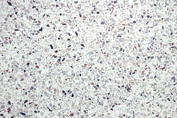 terrazzo flooring texture polished stone pattern wall and color old surface marble