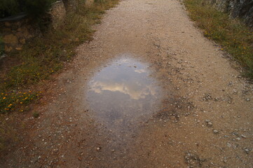 SONY DSC