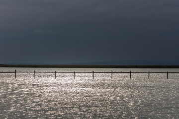 Reflecting water on a lake